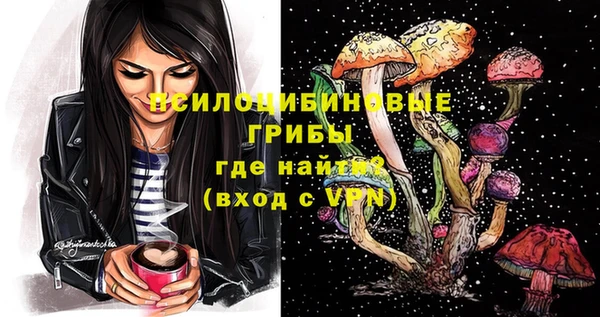 гидра Алексеевка